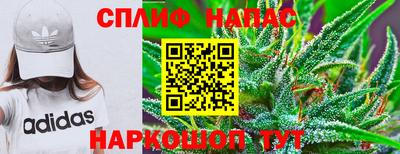 кокаин Гатчина